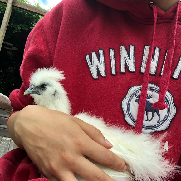 My pets! - Picture 4 of 5